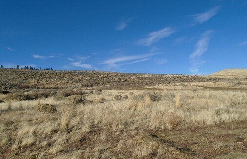 295 US Highway 395 S, Washoe Valley, NV à vendre - Autre – Image 2 sur 3