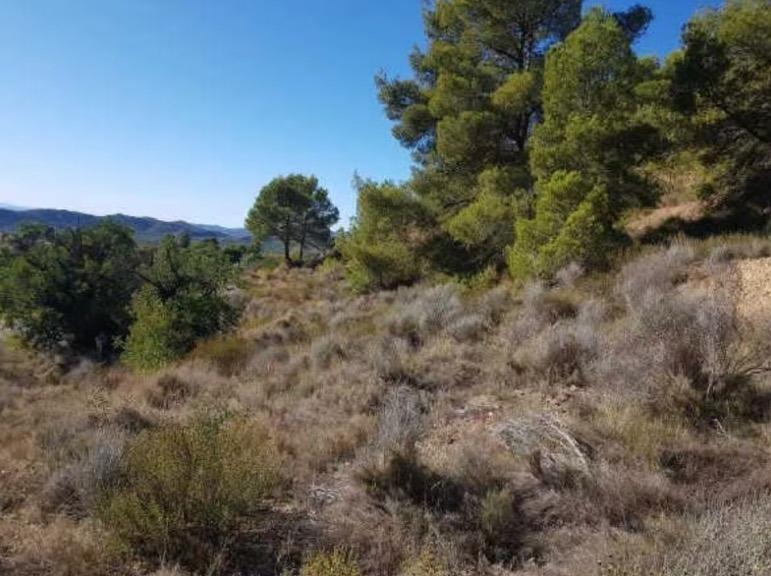 Terrain dans Finestrat, Alicante à vendre Photo principale– Image 1 sur 6