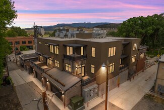 Plus de détails pour 185 N Lena St, Ridgway, CO - Local commercial à vendre
