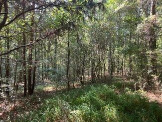 Plus de détails pour 124 S Kelley St, Tallapoosa, GA - Terrain à vendre