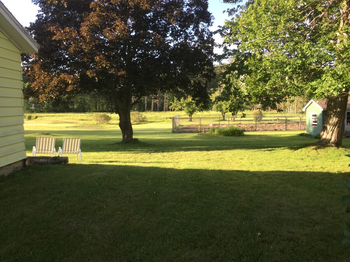 View Photo