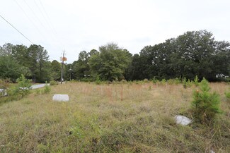 Plus de détails pour 5239 Highway 165, Hollywood, SC - Terrain à vendre