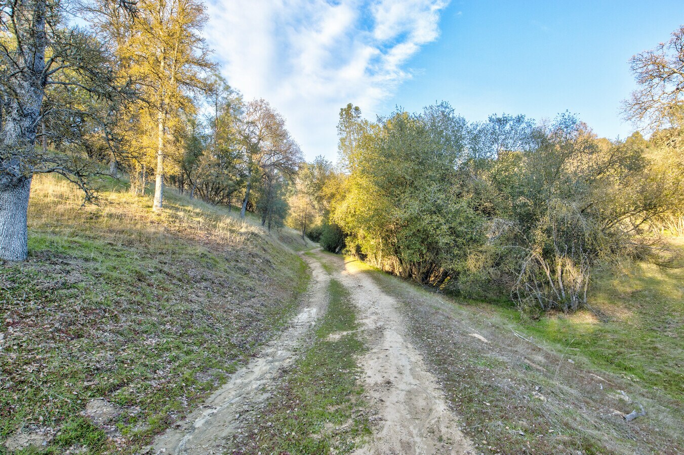 View Photo