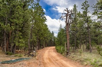 1312 Steamboat Valley Rd, Lyons, CO - Vue aérienne  vue de carte - Image1