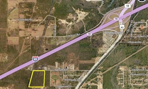 Baldwin Rd, Satsuma, AL à vendre - Photo de l’immeuble – Image 2 sur 4