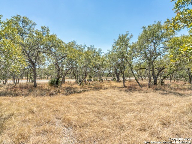 680 Annabelle Ave, Bulverde, TX à vendre - Autre – Image 2 sur 11