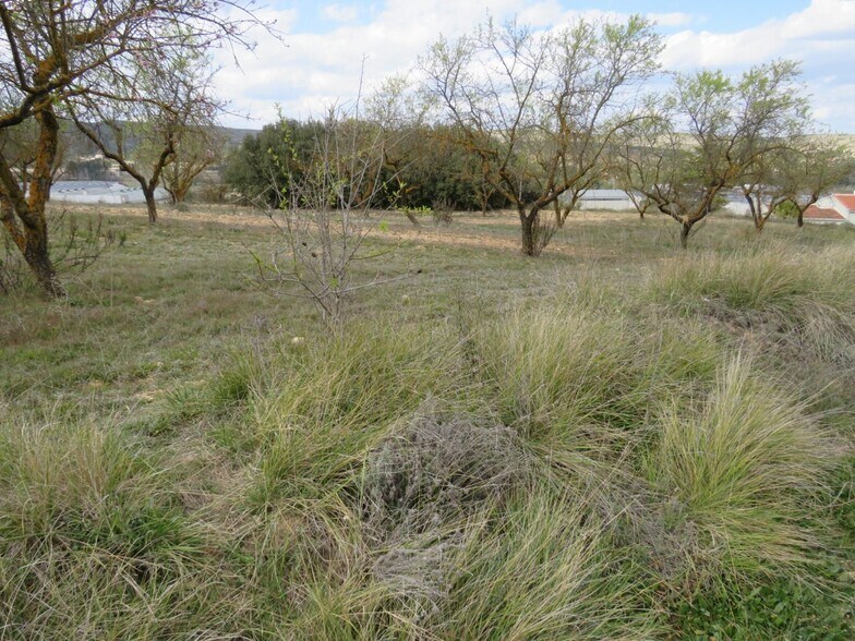 Terrain dans Ontinyent, Valencia à vendre - Photo principale – Image 3 sur 9