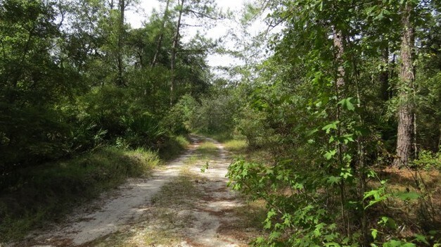 0 AREA LINE ROAD, Claxton, GA à vendre Photo de l’immeuble– Image 1 sur 7