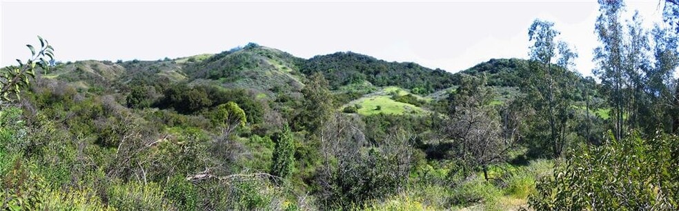 19400 Mulholland Dr, Tarzana, CA à vendre - Photo de l’immeuble – Image 3 sur 9