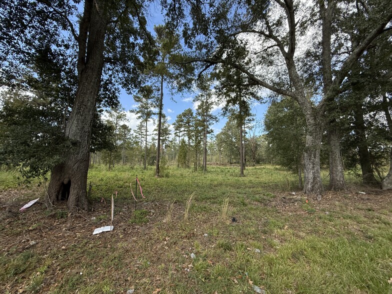 LOT 5 HWY 33 hwy, Centreville, MS à vendre - Photo de l’immeuble – Image 3 sur 6