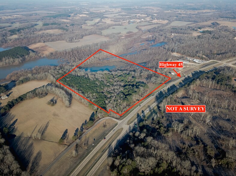 Highway 45 S, Saltillo, MS à vendre - Aérien – Image 1 sur 3