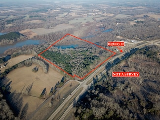 Plus de détails pour Highway 45 S, Saltillo, MS - Terrain à vendre