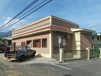 Plus de détails pour 1246 Lower Main St, Wailuku, HI - Local commercial à louer
