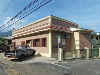 Plus de détails pour 1246 Lower Main St, Wailuku, HI - Local commercial à louer