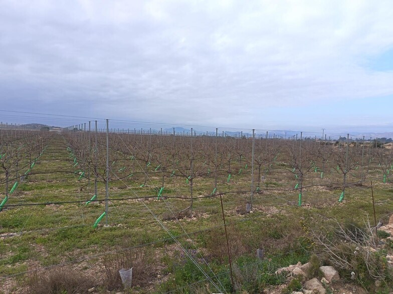 Terrain dans Monforte del Cid, Alicante à vendre - Aérien – Image 3 sur 7