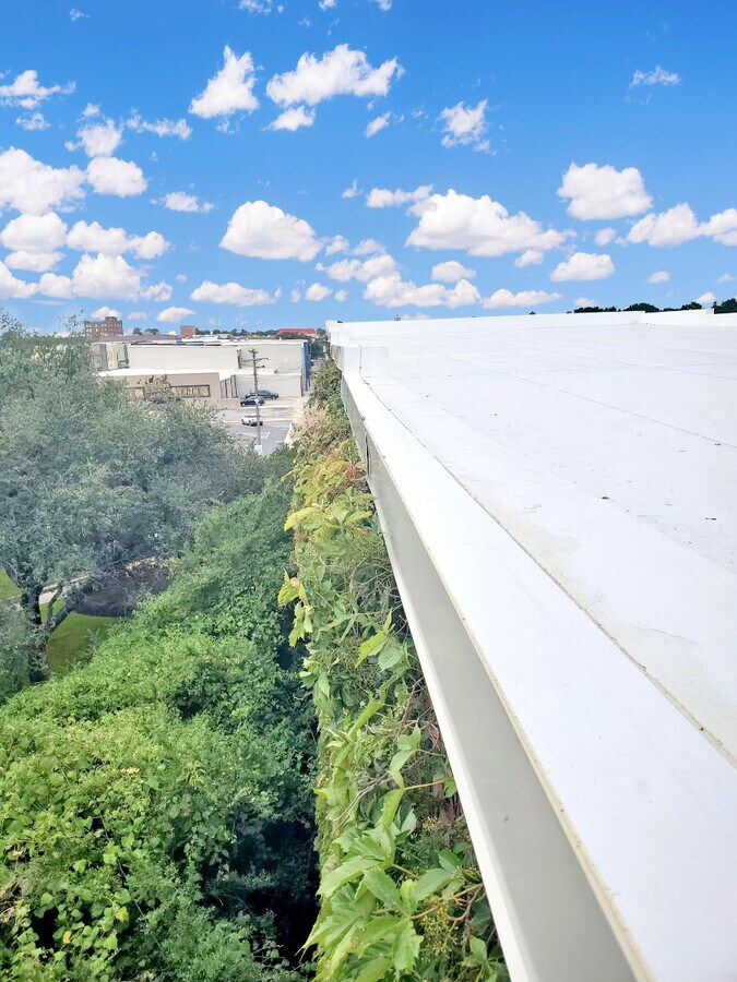 View Photo