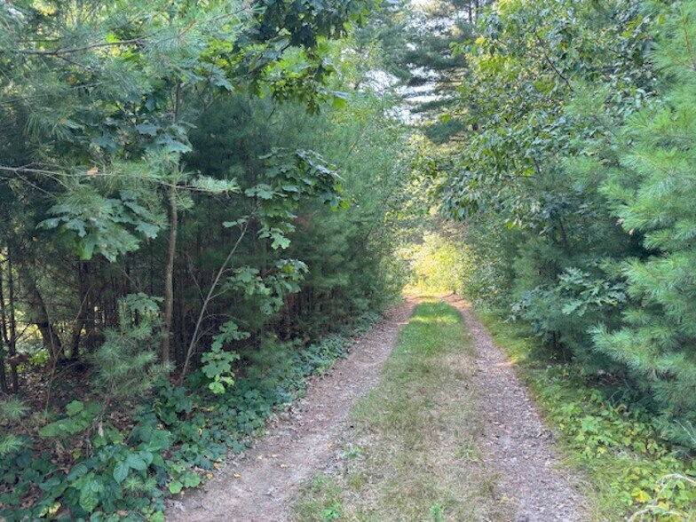 1204 South St, Wrentham, MA à vendre - Photo de l’immeuble – Image 3 sur 3