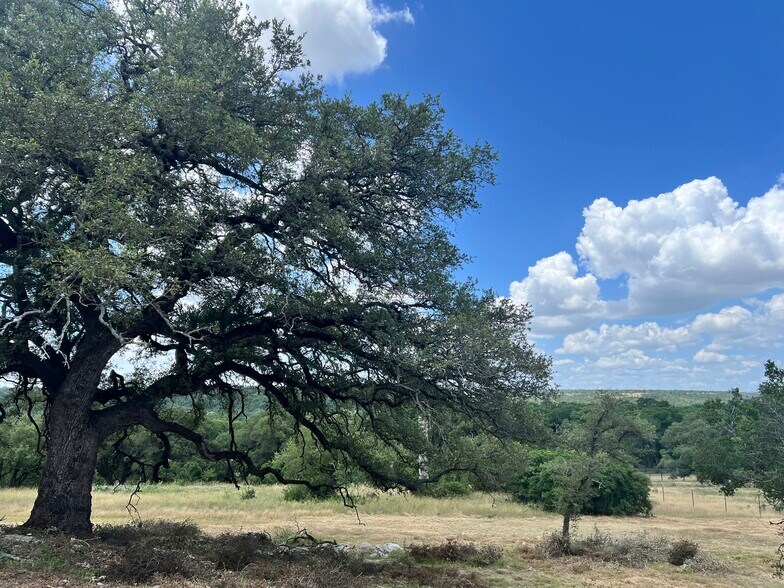 W HWY 29, Georgetown, TX à vendre - Autre – Image 3 sur 6