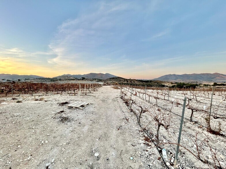 Terrain dans Novelda, Alicante à vendre - Aérien – Image 2 sur 4