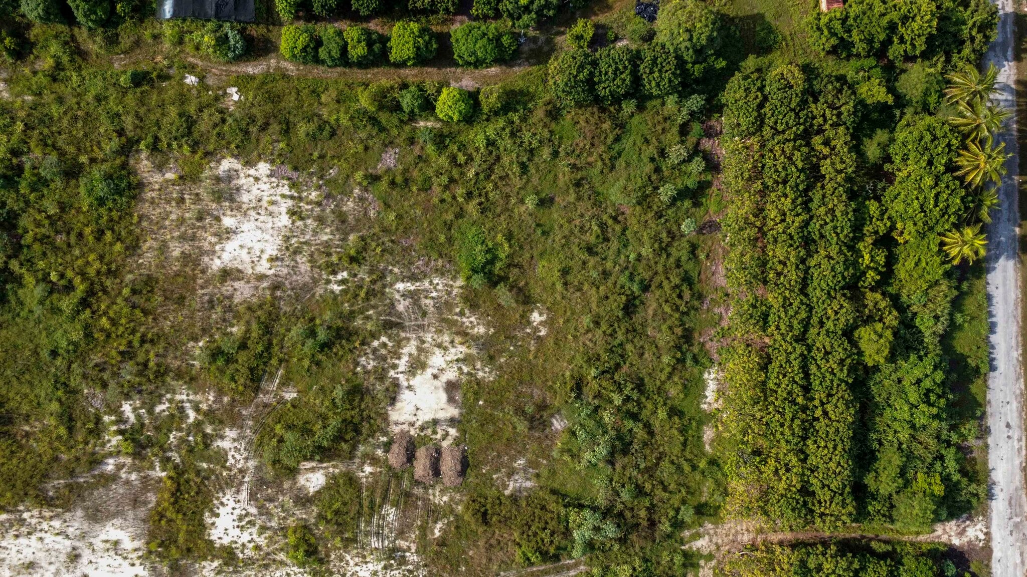SW 212th Ave & Lucille Dr, Homestead, FL à vendre Photo principale– Image 1 sur 26