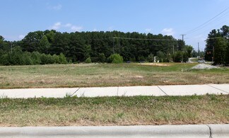 Plus de détails pour 1001 Olive Chapel Rd, Apex, NC - Terrain à vendre