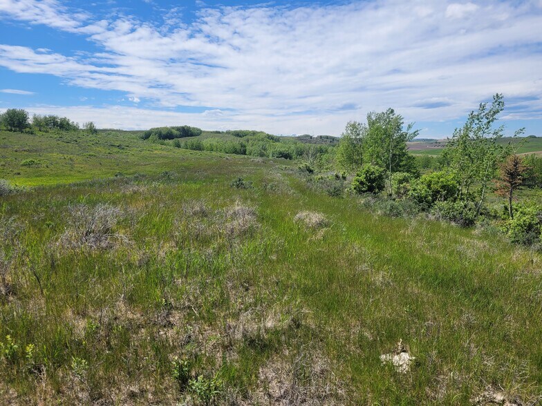 Lochend Rd, Rocky View No 44, AB à vendre - Photo de l’immeuble – Image 3 sur 16