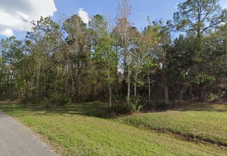 Plus de détails pour 257 Harbor dr, Palatka, FL - Terrain à vendre