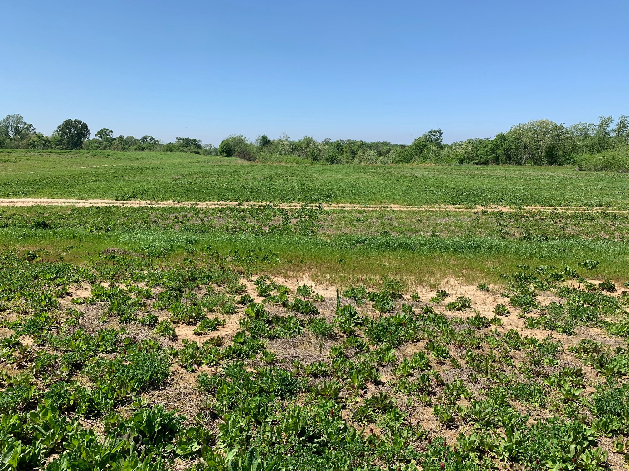 000B-3A Highway 61, Natchez, MS à vendre Photo de l’immeuble– Image 1 sur 5