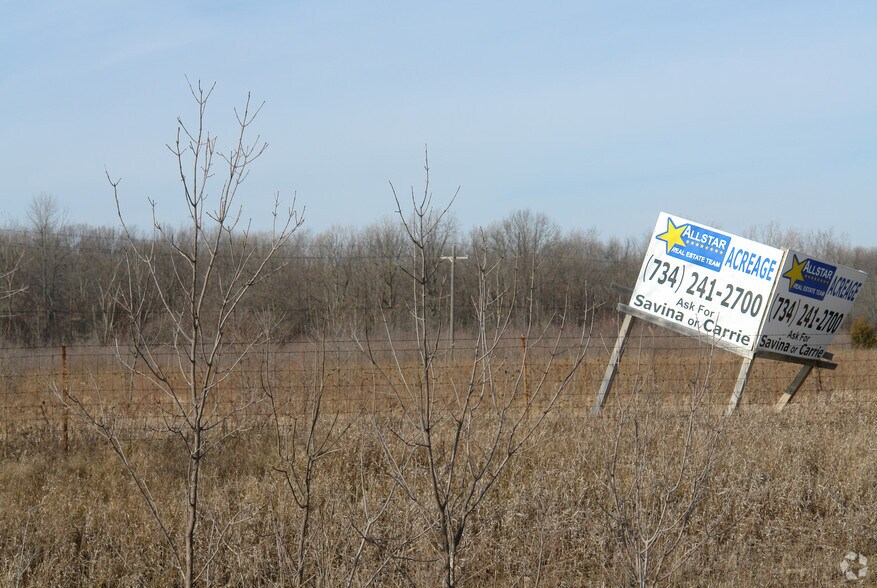 I-75, Newport, MI à vendre - Photo principale – Image 1 sur 1