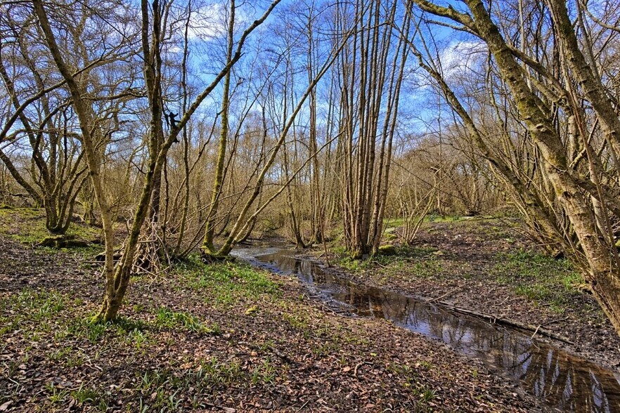Land Opposite, 250 Holtye Rd, East Grinstead à vendre - Photo de l’immeuble – Image 2 sur 9