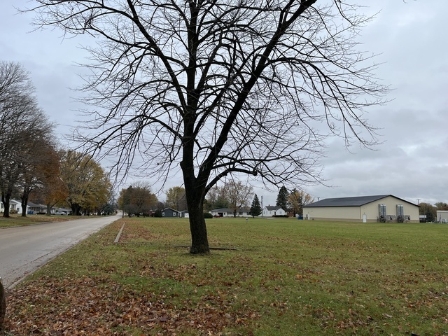 Parcel 2 14th Ave, Mendota, IL à vendre - Photo de l’immeuble – Image 2 sur 2