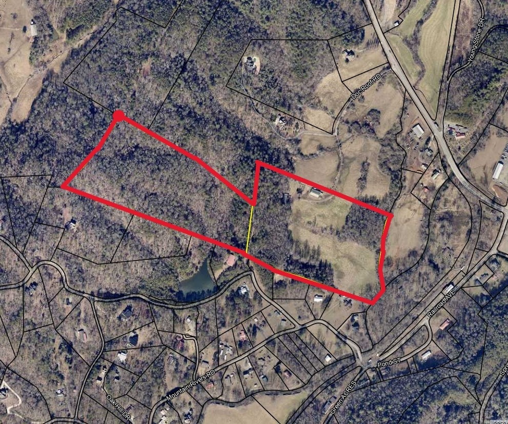 141 Doc Roof Rd, Mineral Bluff, GA à vendre Plan cadastral– Image 1 sur 22