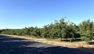 Plus de détails pour 2150 N Fine Road, Linden, CA - Terrain à vendre