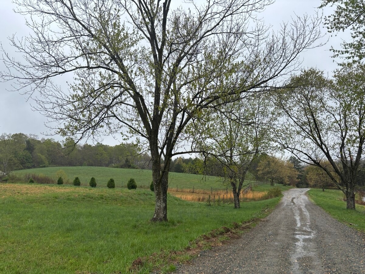 View Photo
