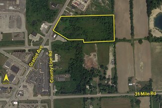Plus de détails pour 10963 Gratiot Ave, Casco Township, MI - Terrain à vendre