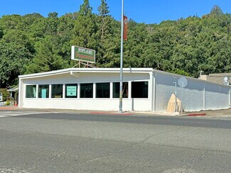Plus de détails pour 13400 S Highway 101, Hopland, CA - Local commercial à vendre
