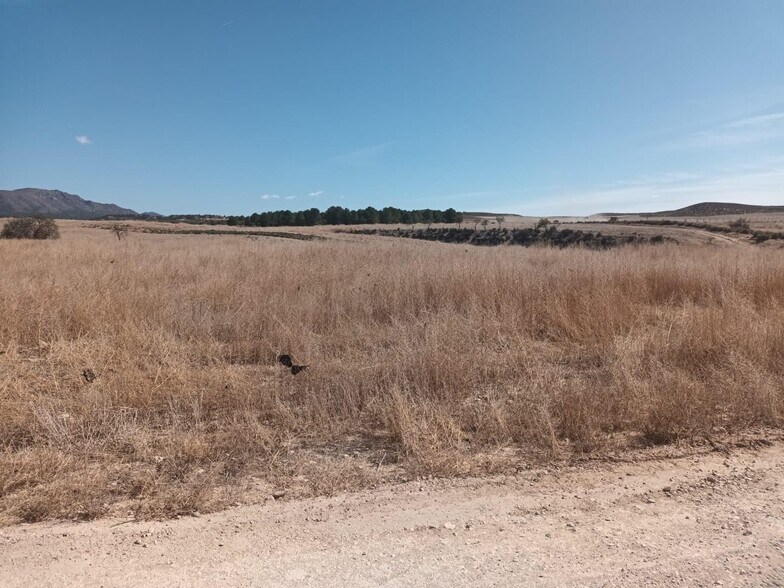 Terrain dans Lorca à vendre - Aérien – Image 1 sur 9