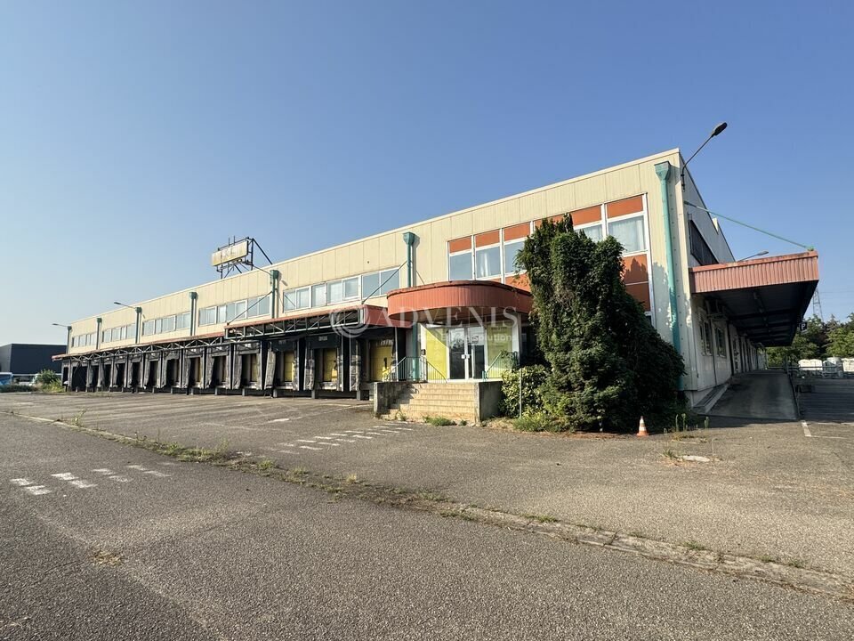 Industriel/Logistique dans Illkirch-Graffenstaden à louer Photo de l’immeuble– Image 1 sur 13