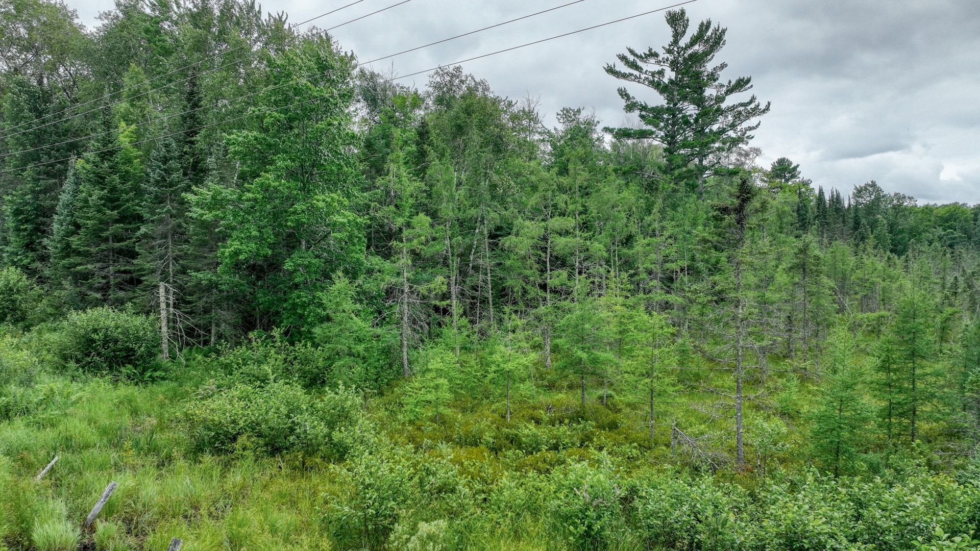 4E West Twin Lake Road, Hayward, WI à vendre Photo principale– Image 1 sur 14