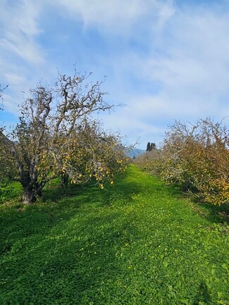 Plus de détails pour 0 Varni Road, Watsonville, CA - Terrain à vendre
