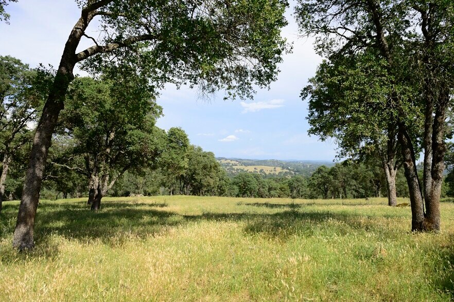 148 Acre Landrum St, Plymouth, CA à vendre - Photo de l’immeuble – Image 3 sur 18