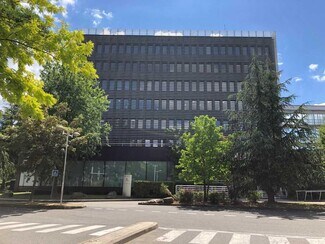 Plus de détails pour 13 Avenue Morane Saulnier, Vélizy-Villacoublay - Bureau à louer