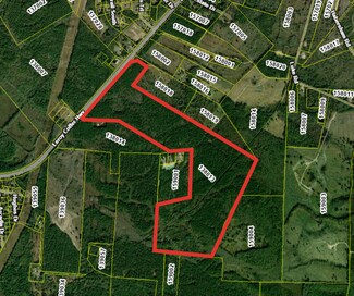 Plus de détails pour 262.44 AC Leroy Coffer hwy, Fleming, GA - Terrain à vendre