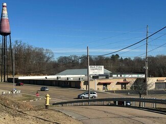 Plus de détails pour 800 S Morrison Ave, Collinsville, IL - Industriel/Logistique à vendre