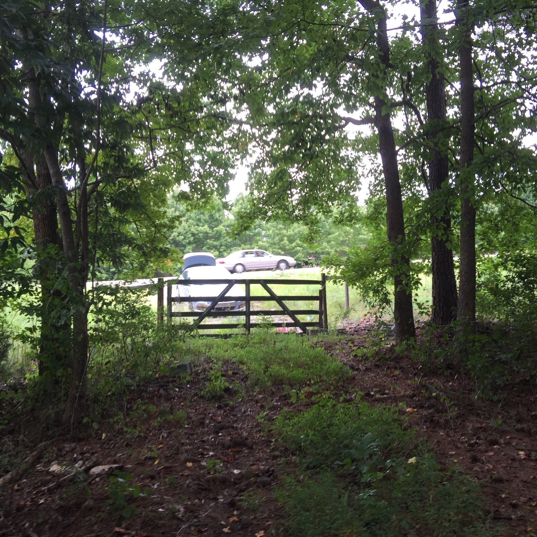 1762 Highway 78 Hwy, Grayson, GA à vendre Photo de l’immeuble– Image 1 sur 10
