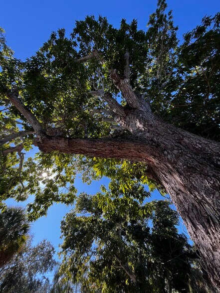 2019 Manatee Ave, Bradenton, FL à louer - Photo intérieure – Image 3 sur 4
