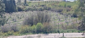 Plus de détails pour 8010 Green rd, Peshastin, WA - Terrain à vendre