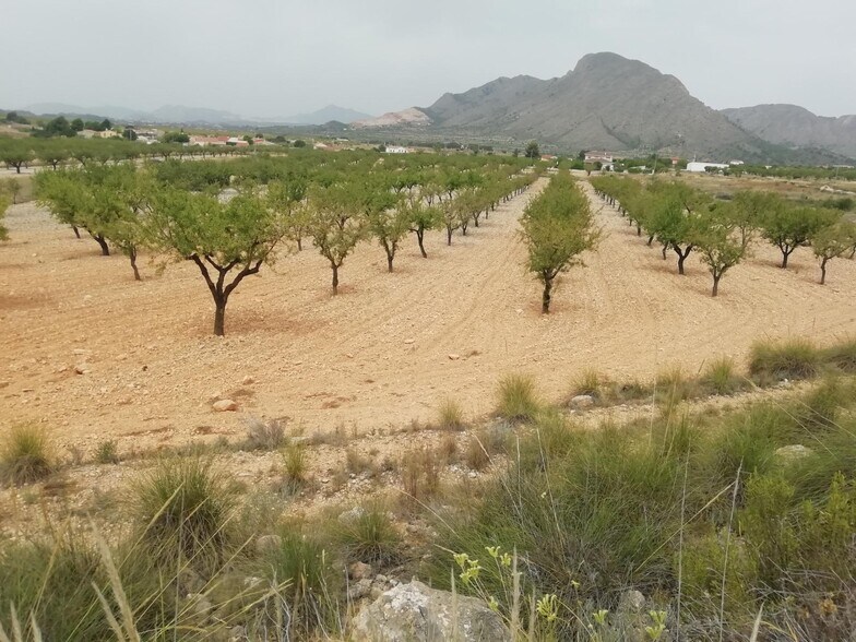 Terrain dans Orihuela, Alicante à vendre - Aérien – Image 3 sur 3
