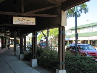Plus de détails pour 301 Main St, Park Forest, IL - Local commercial à louer
