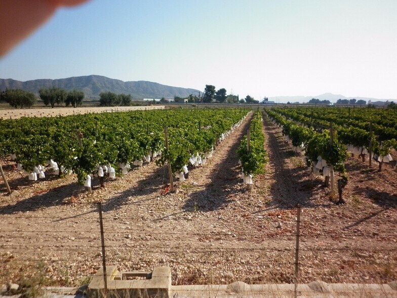 Terrain dans Novelda, Alicante à vendre - Aérien – Image 2 sur 10